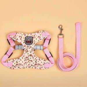 Floral Print Pet Harness And Leash Set For Dog